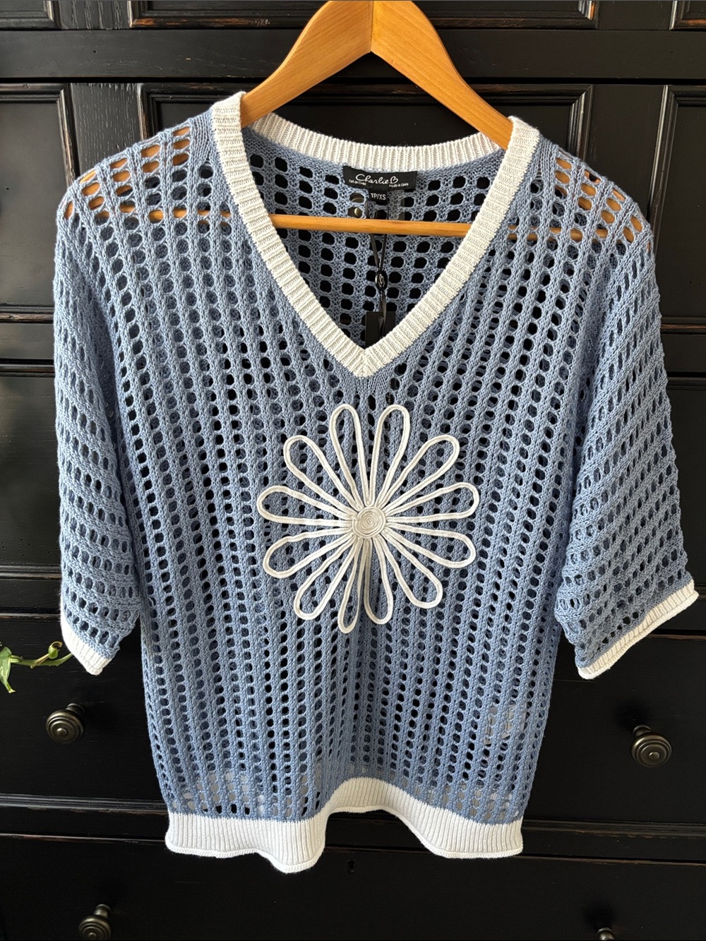 NWT Charlie B size XS Knit V Neck Fishnet Dolman Short Sleeve Sweater in Haze - Picture 1 of 9
